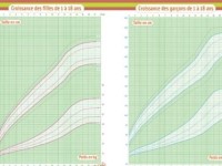 Se comparer : courbes de croissance dans le carnet de santé français