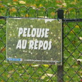 Ecriteau "Pelouse au repos"