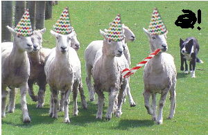 Moutons avec chapeaux et mirlitons